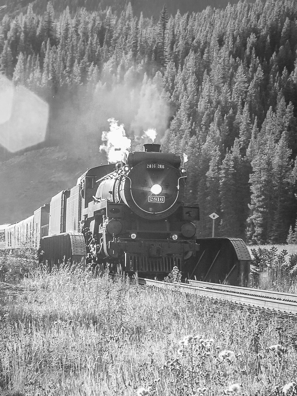 Coming down from the Divide