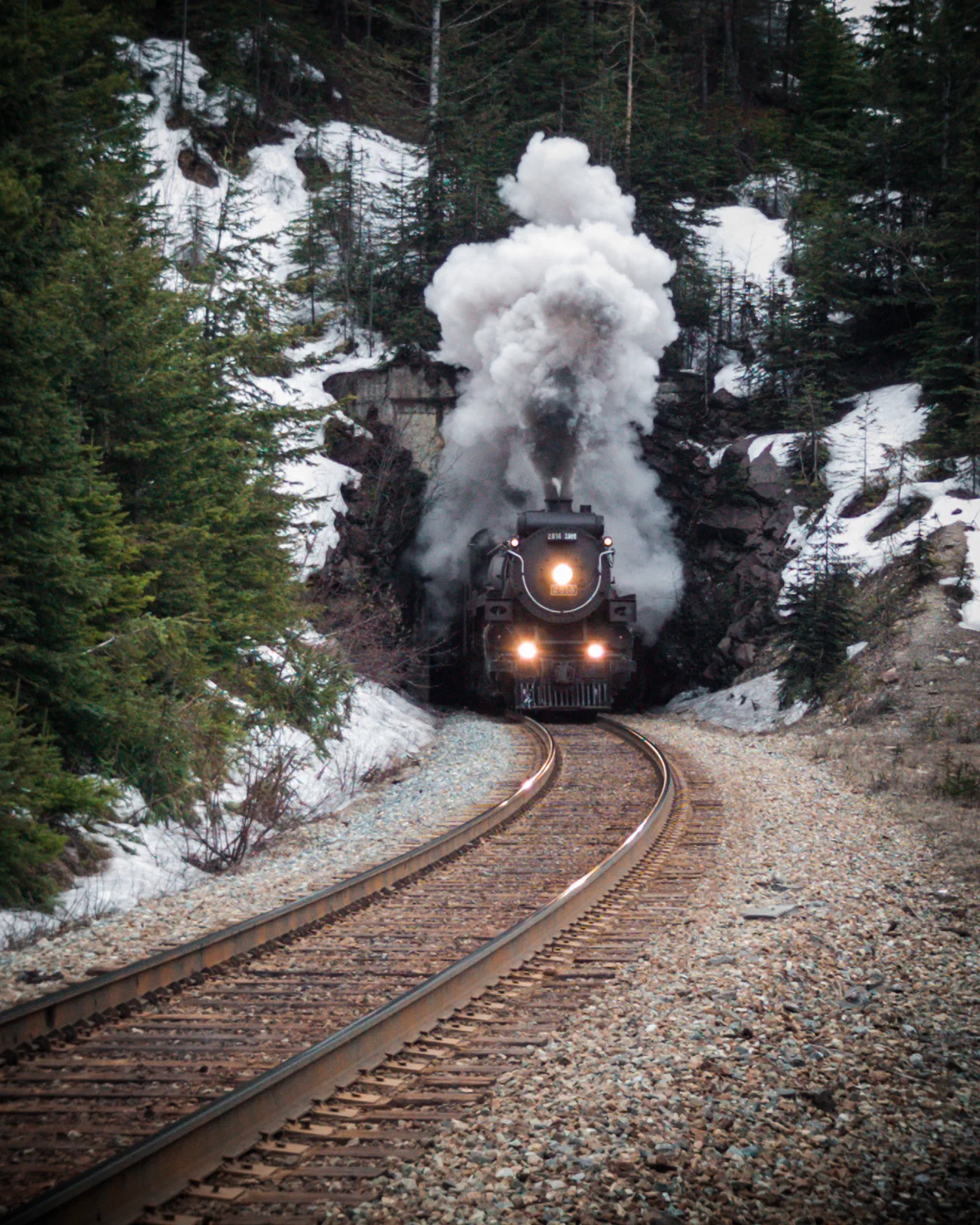 CP 2816 at Mount Stephen
