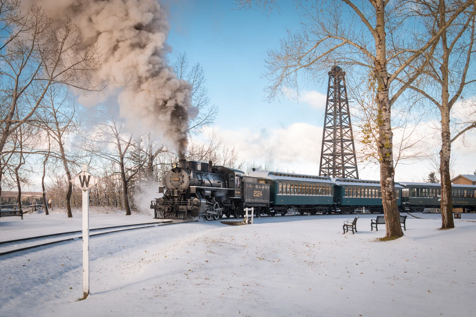 Wintery train
