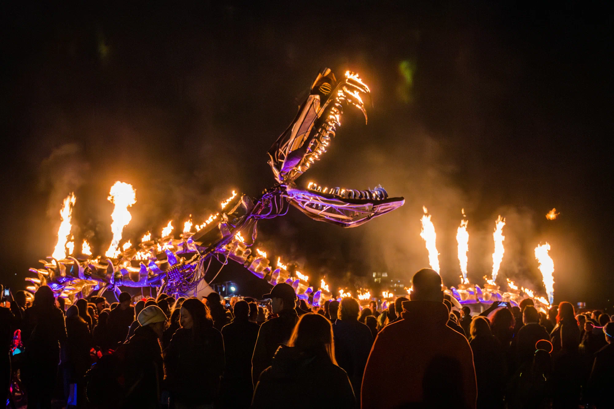 Beakerhead Fire Snake Thing