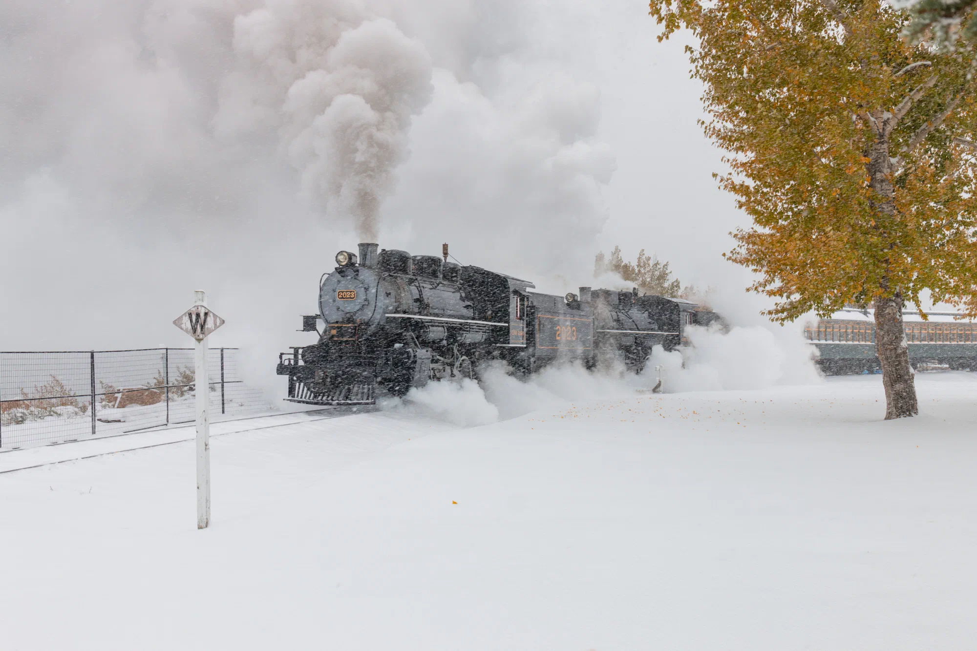 Winter Doubleheader