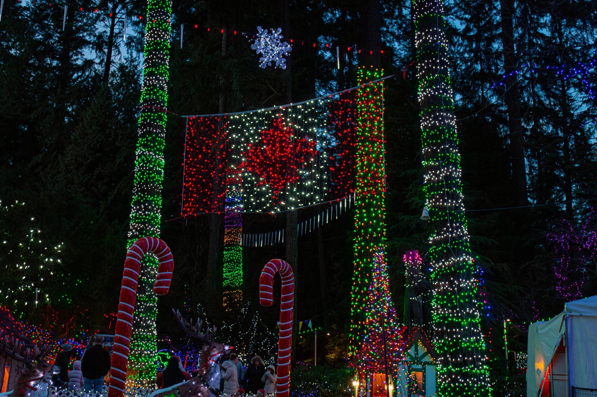 Bright Nights in Stanley Park