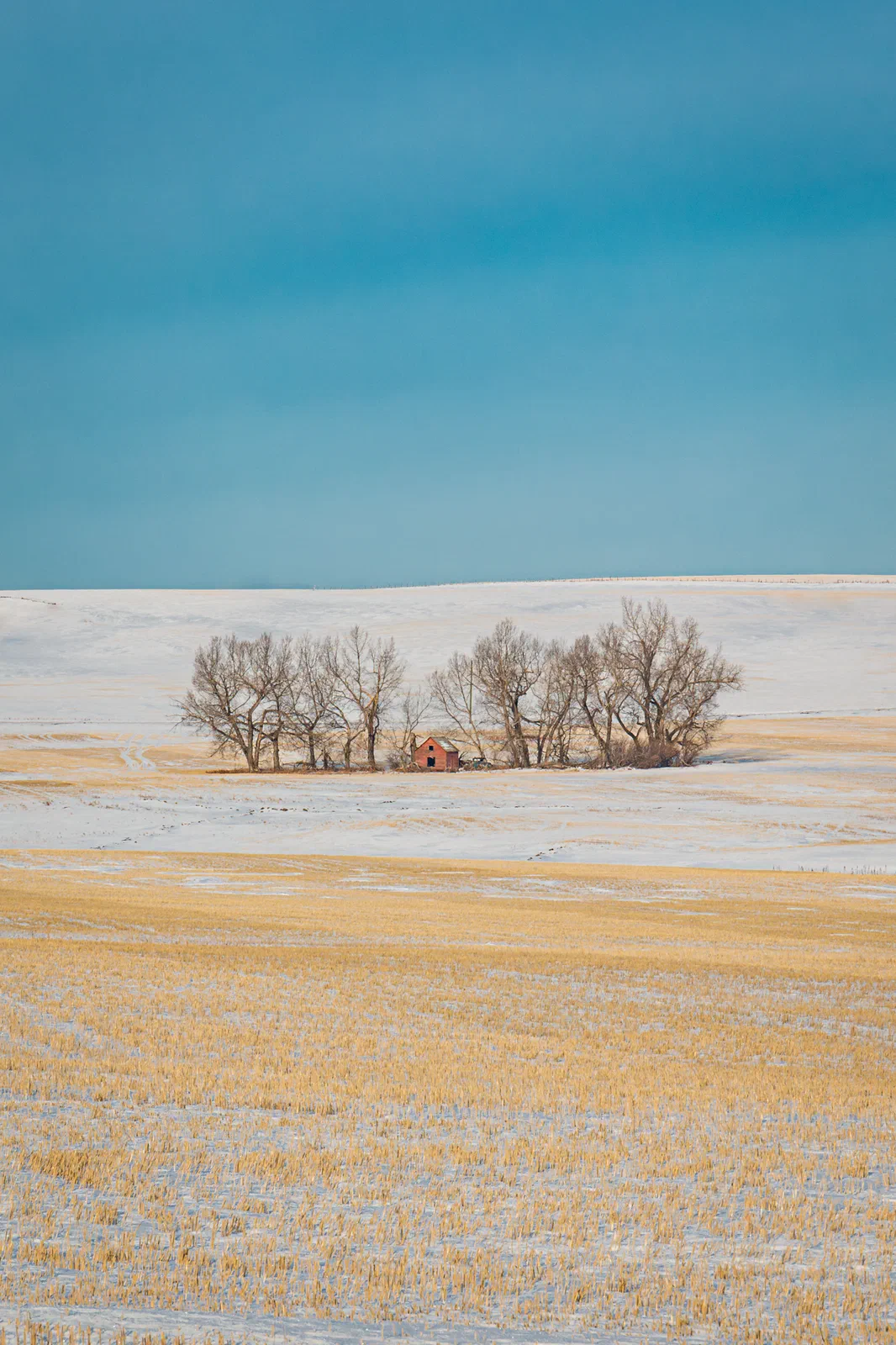 Cold and Alone