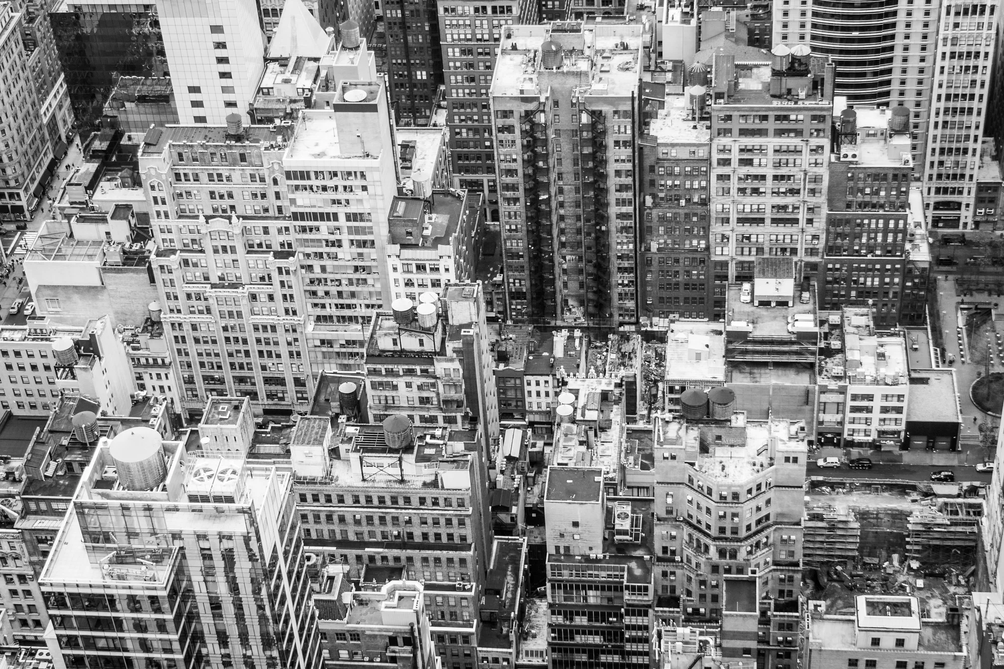 Manhattan Rising