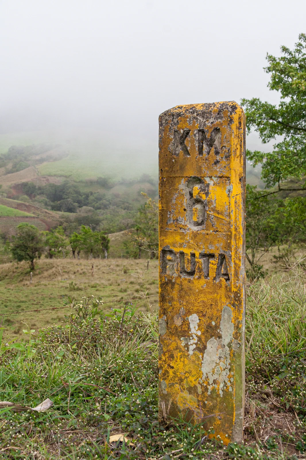 Ruta 6
