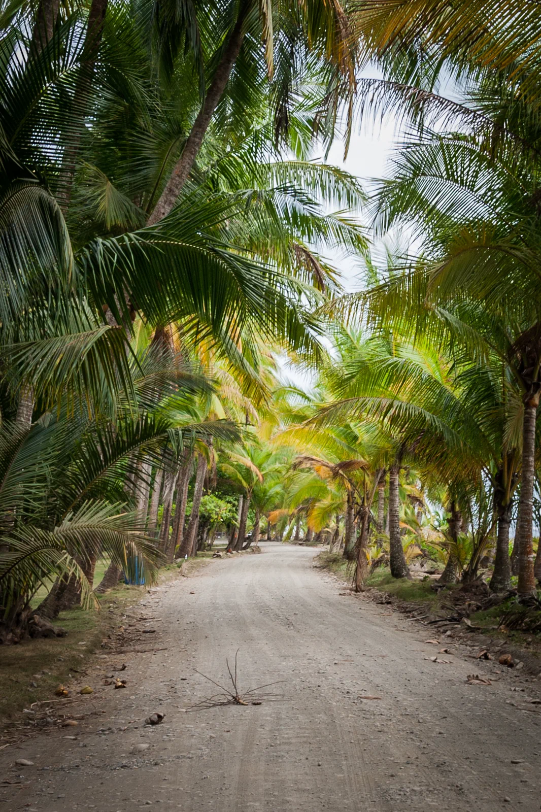 Via de Playa Bejuco