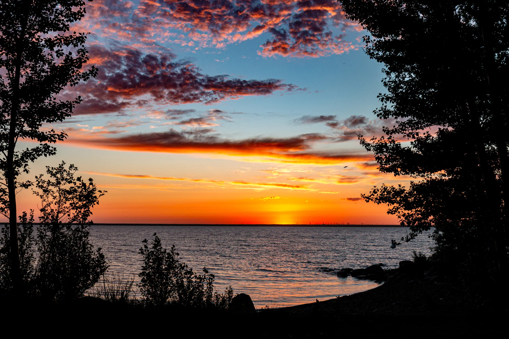 Seeing the sunset for the trees