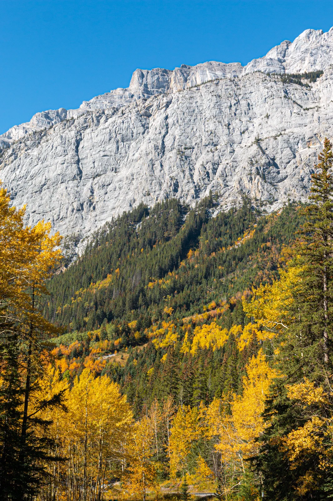 Cascade Colour