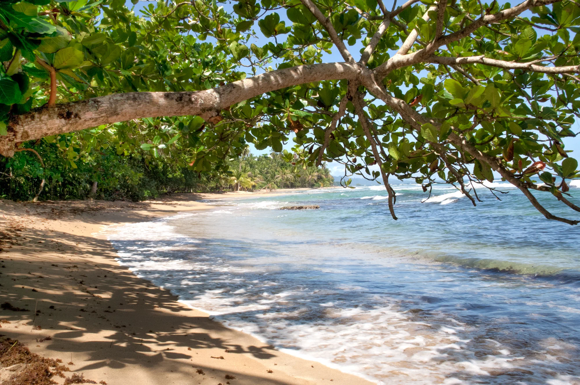 Playa Chiquita