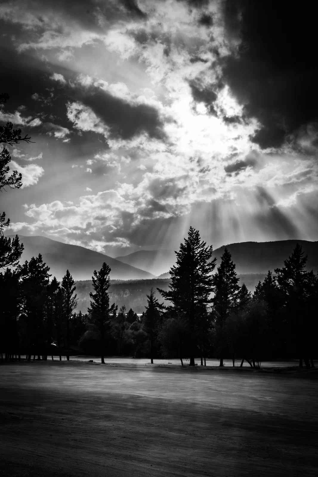 Rays