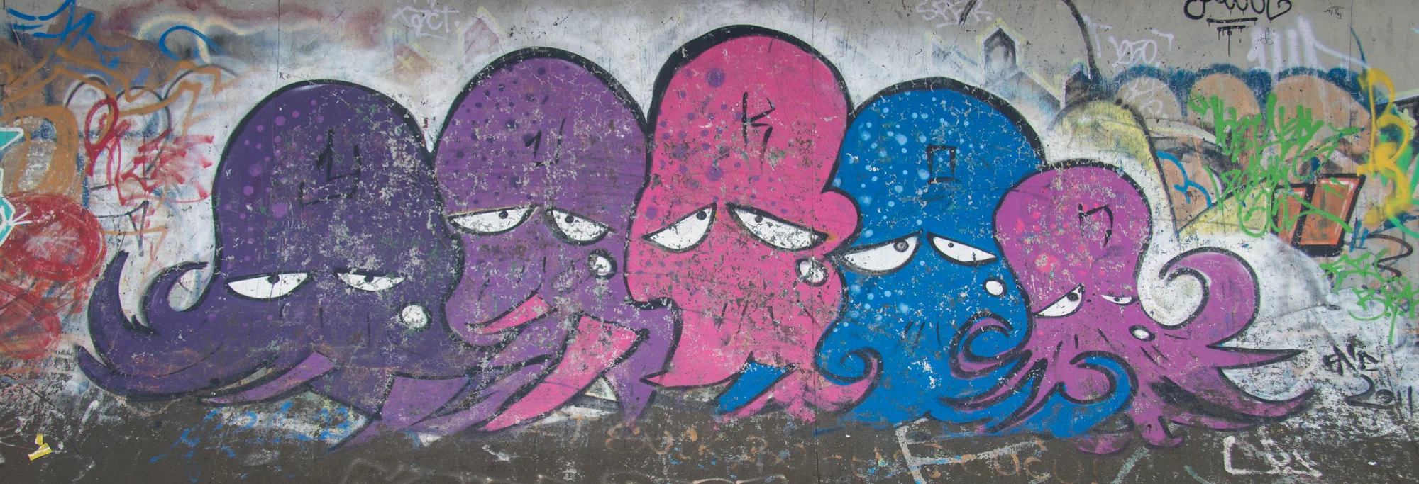 Yukon Octopuses