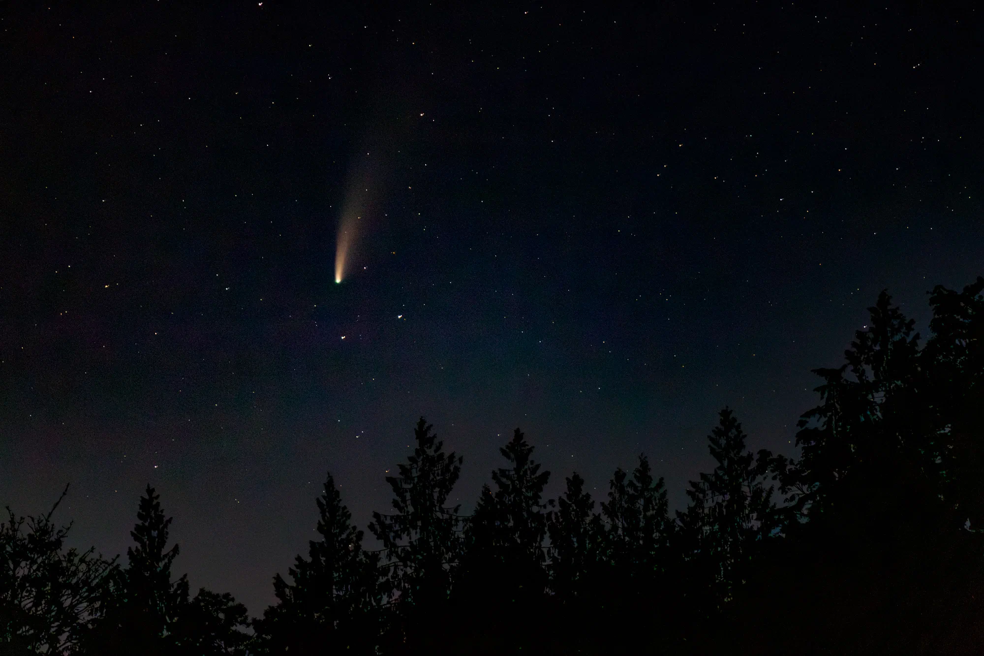 NEOWISE