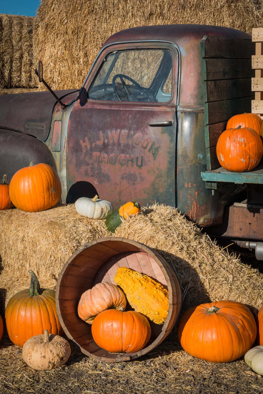 Pumpkins
