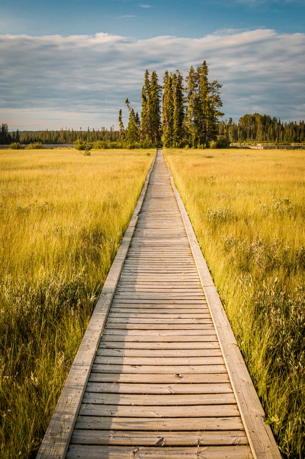 On the boardwalk