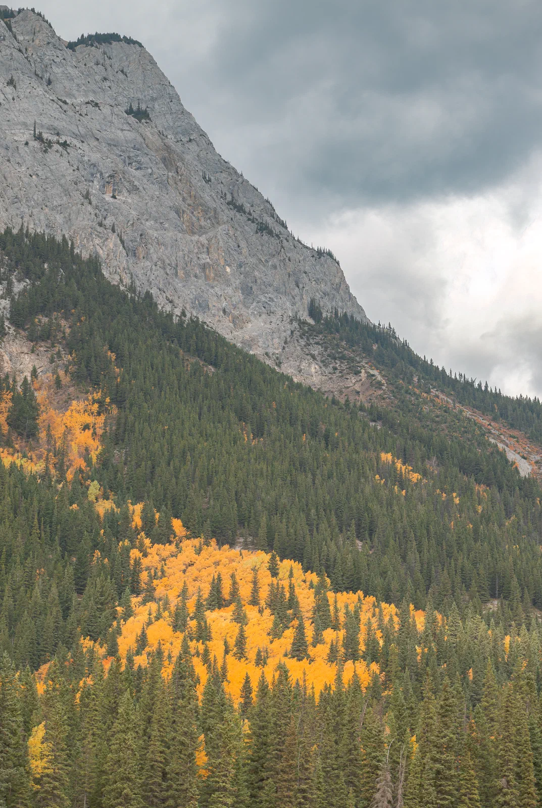 Fall on Cascade
