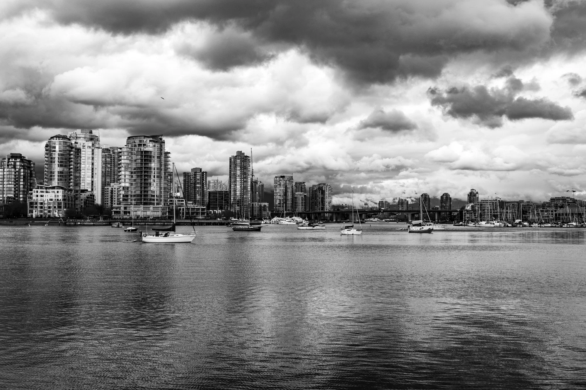 Down False Creek