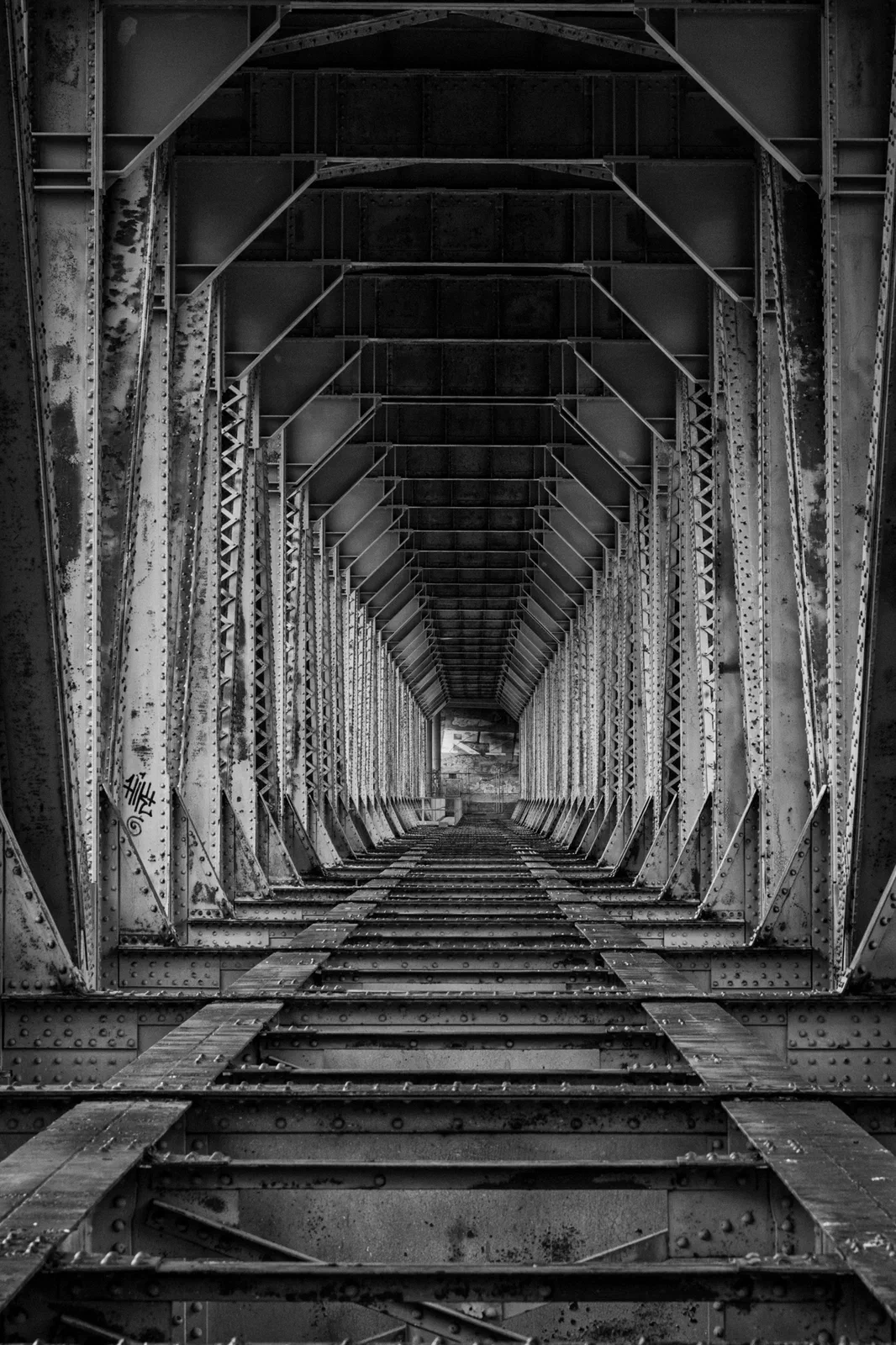 Fraser Bridge
