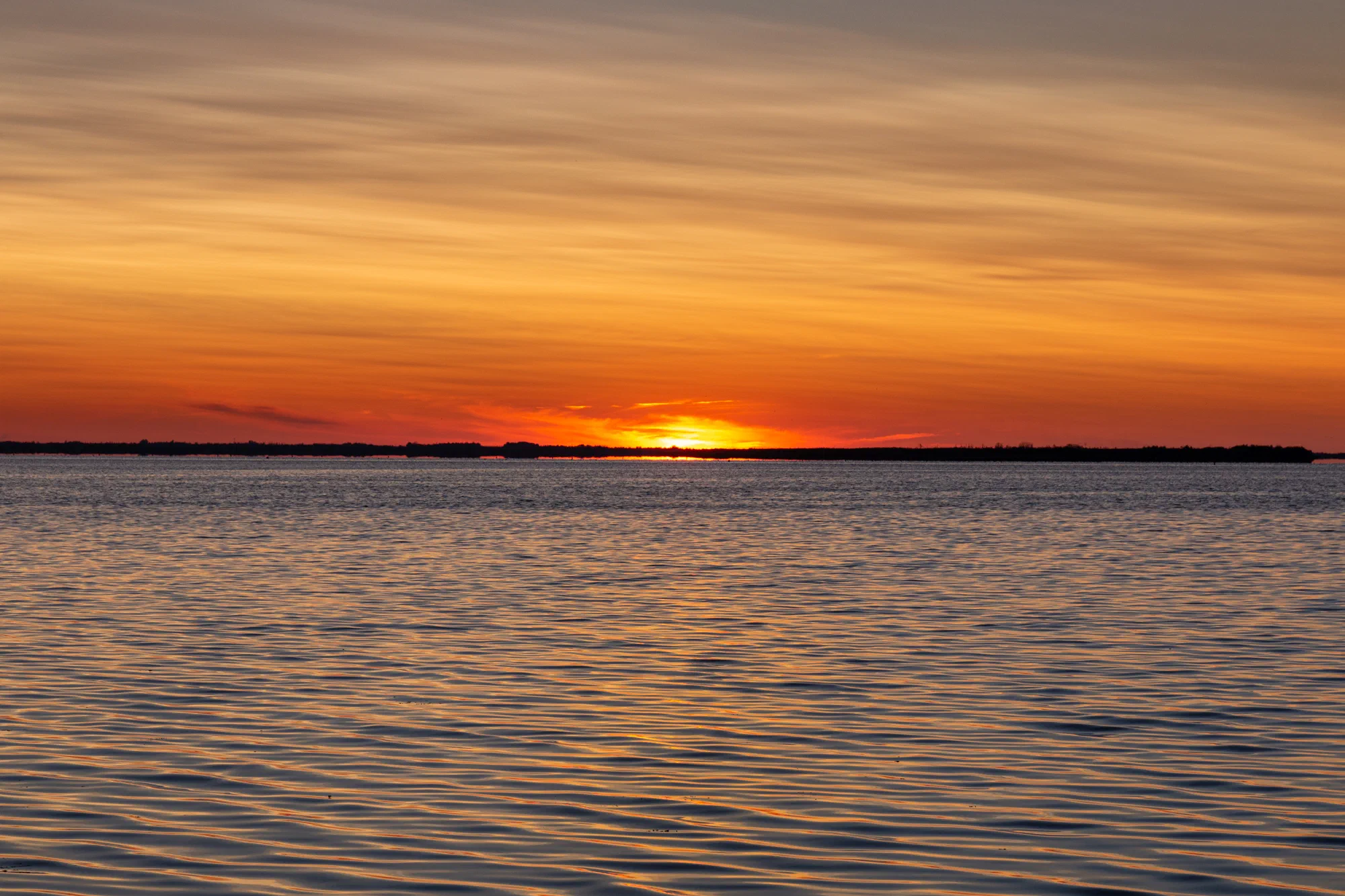 Malpeque Sunset