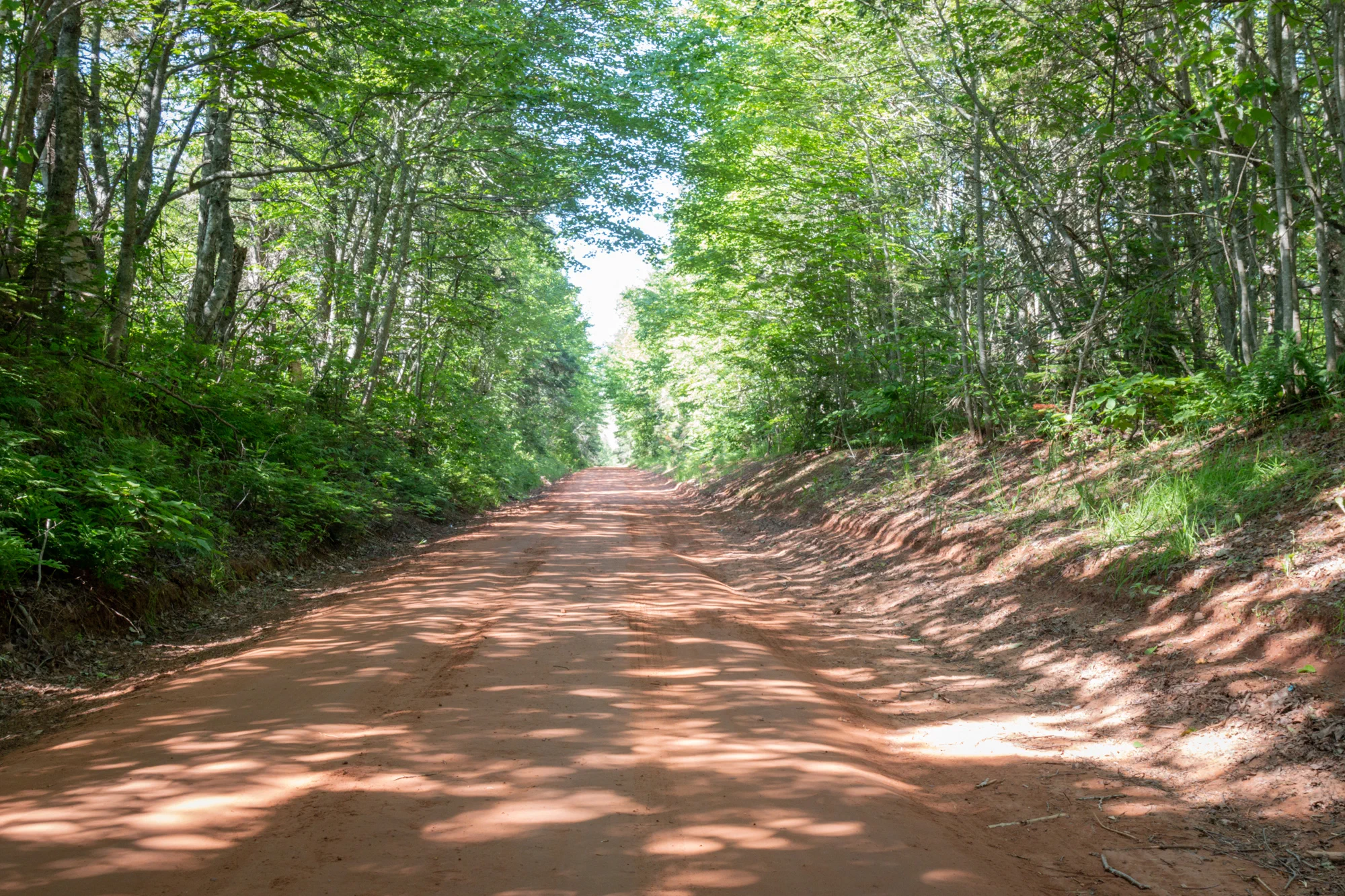 Red Dirt Road
