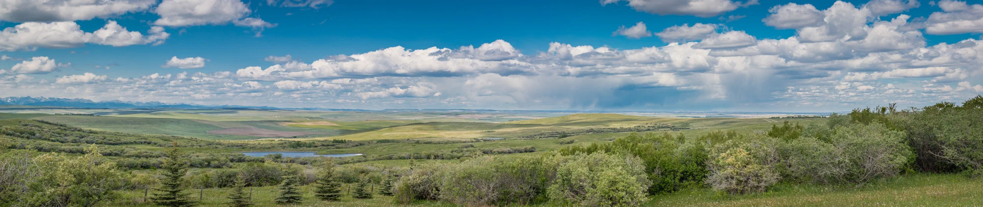 Across the Foothills