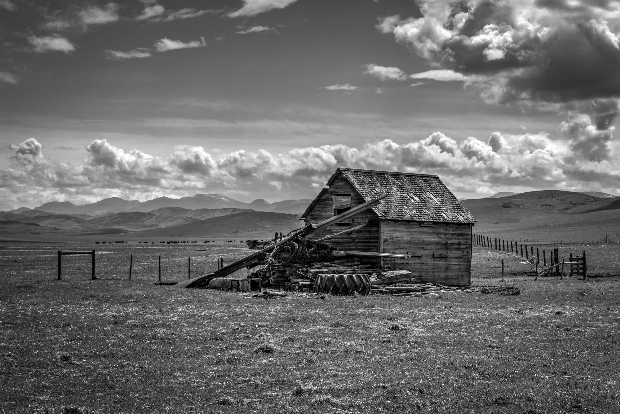 On the Cowboy Trail