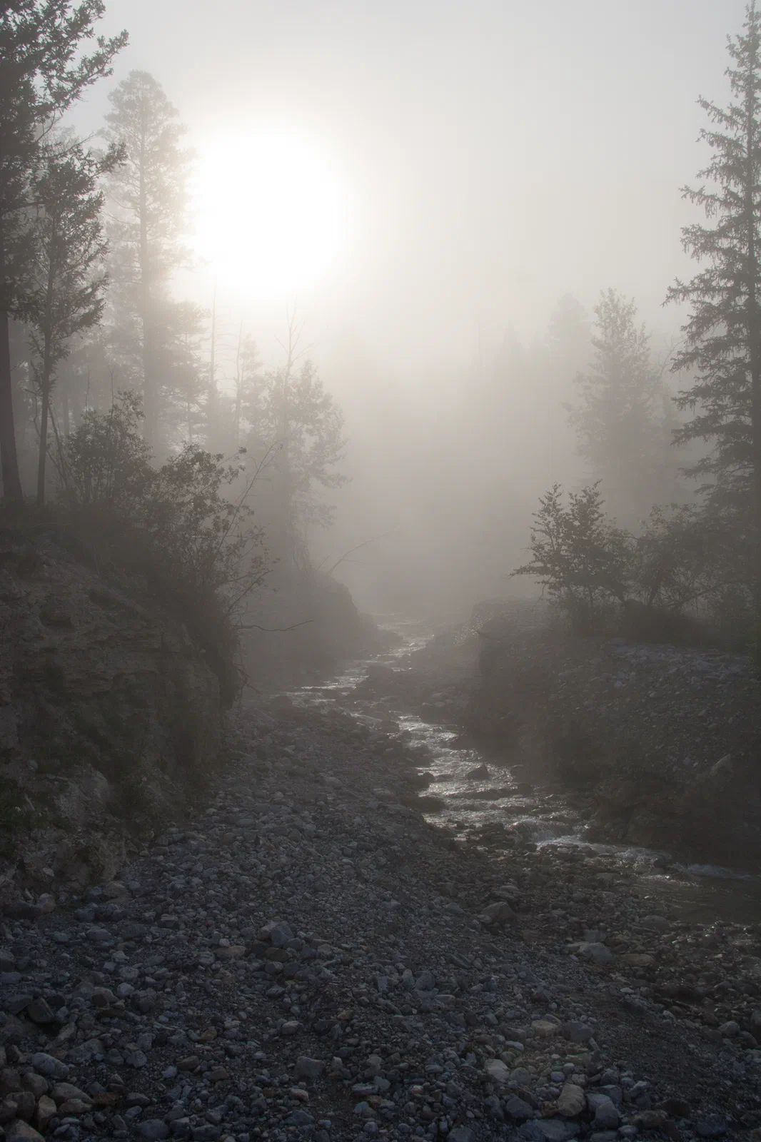 Foggy Fairmont Morning