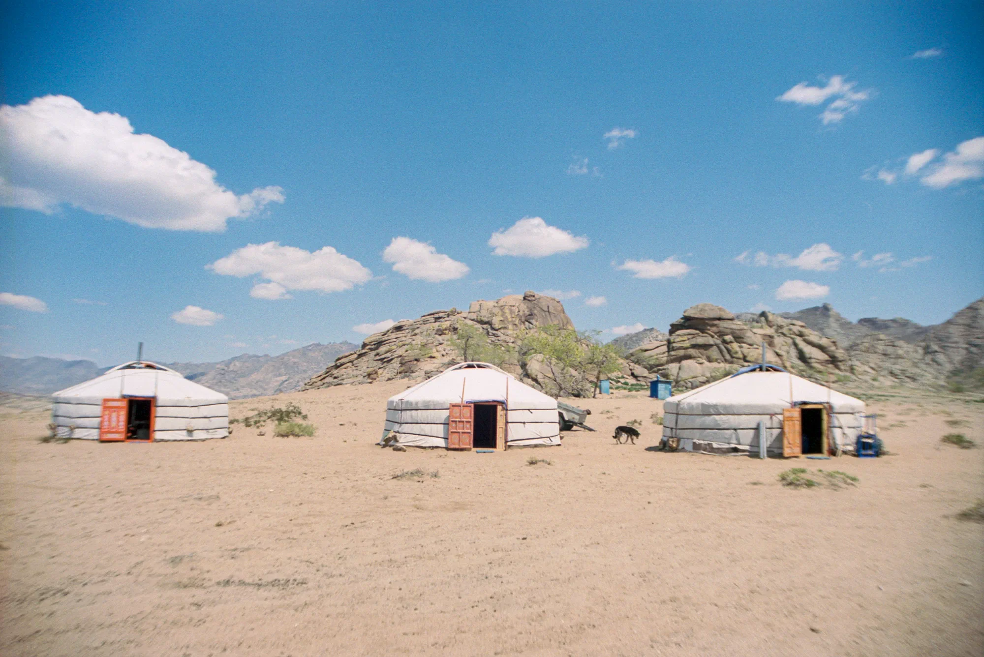 Yurts in the Wilderness