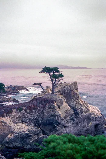 Pebble Beach, California, United States Pebble Beach, California, United States