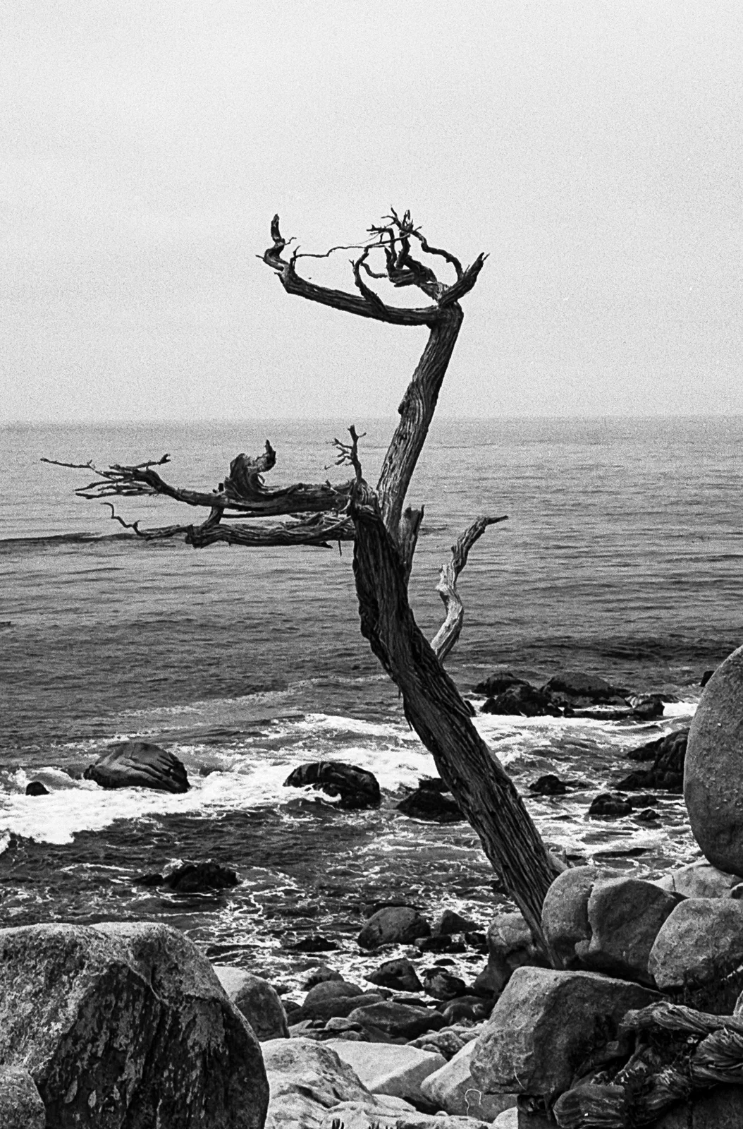 Stuck in the Shoreline