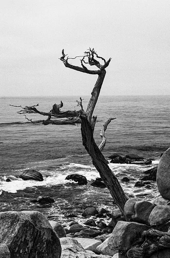 /photos/Image-5-3-19980719.jpg