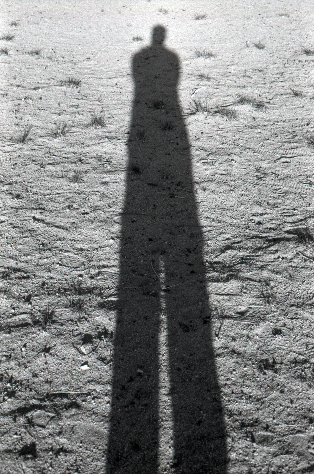 A Shadow of my Former Self