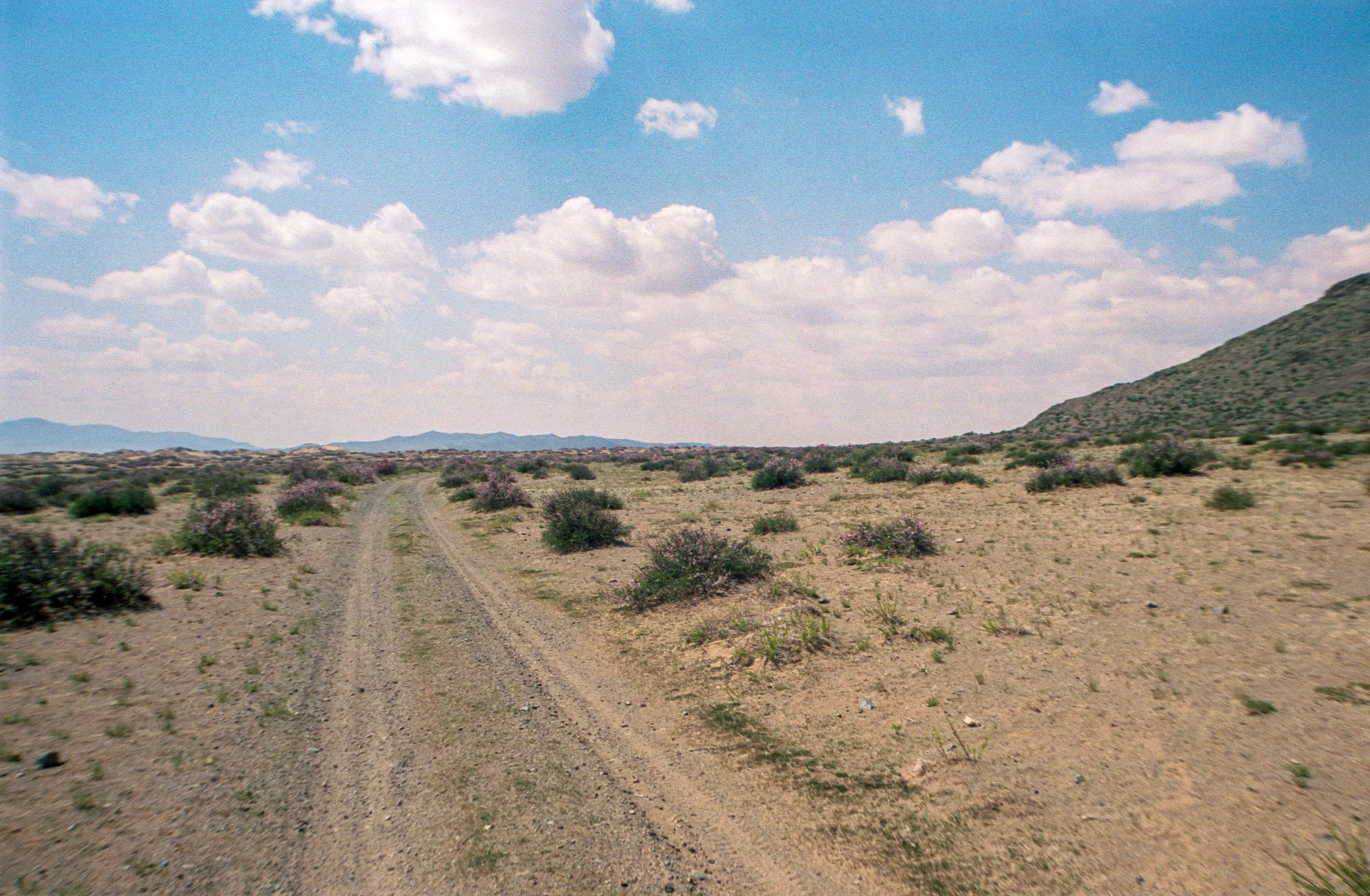 Road to the campsite
