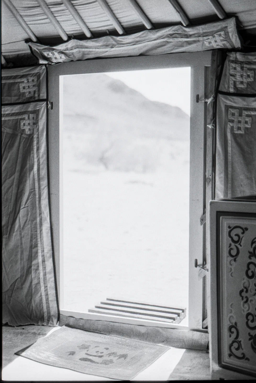 Looking out our front door