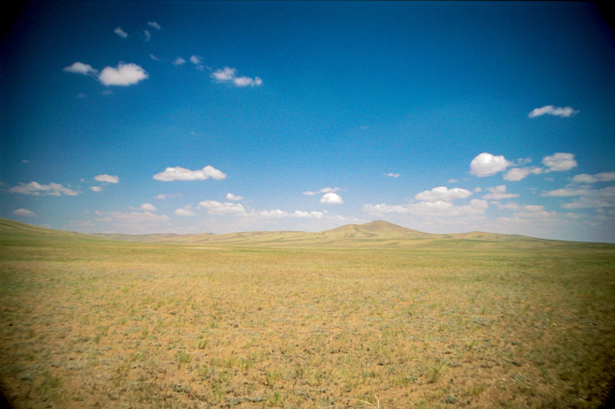 Mongolian Steppe Plains