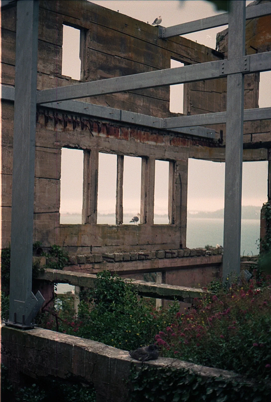 Alcatraz Ruins