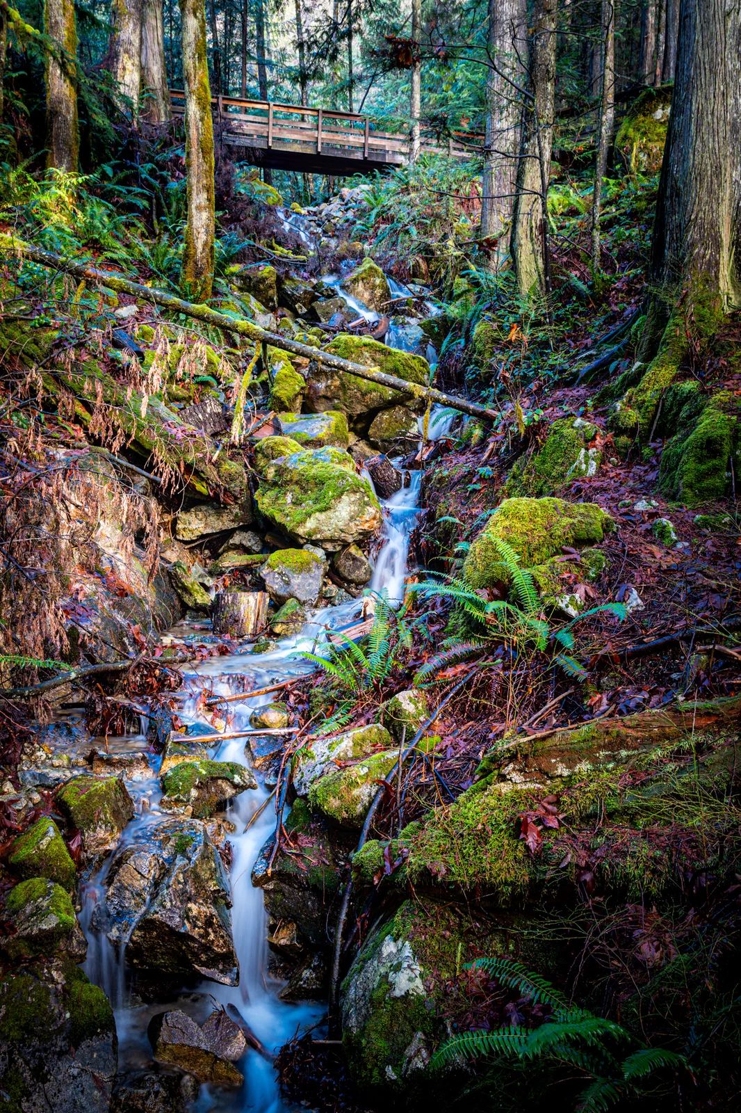 A trickle at Cascade Falls