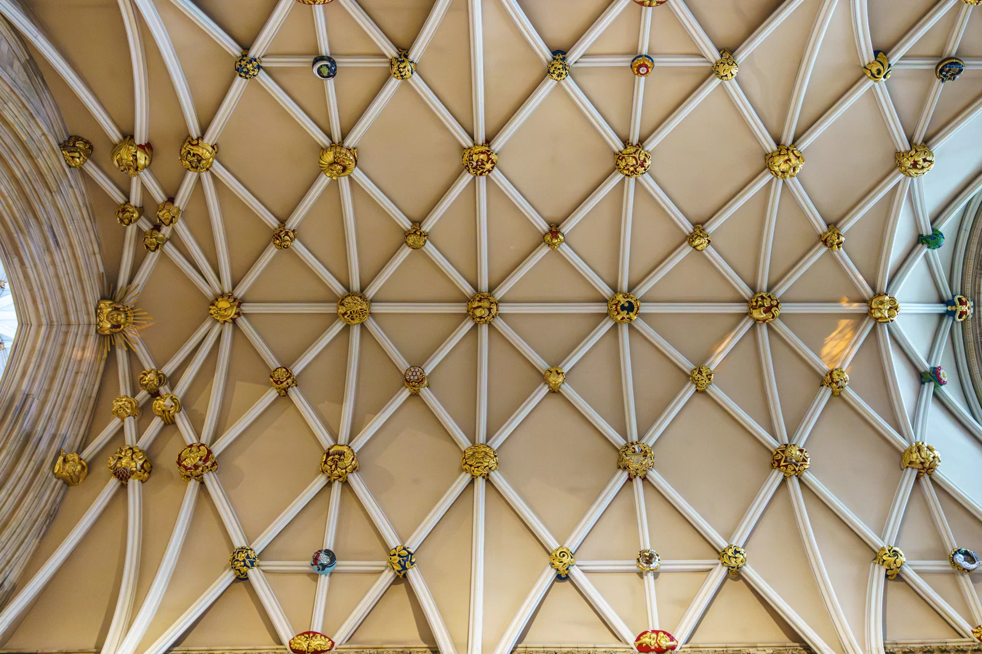 Minster Ceiling