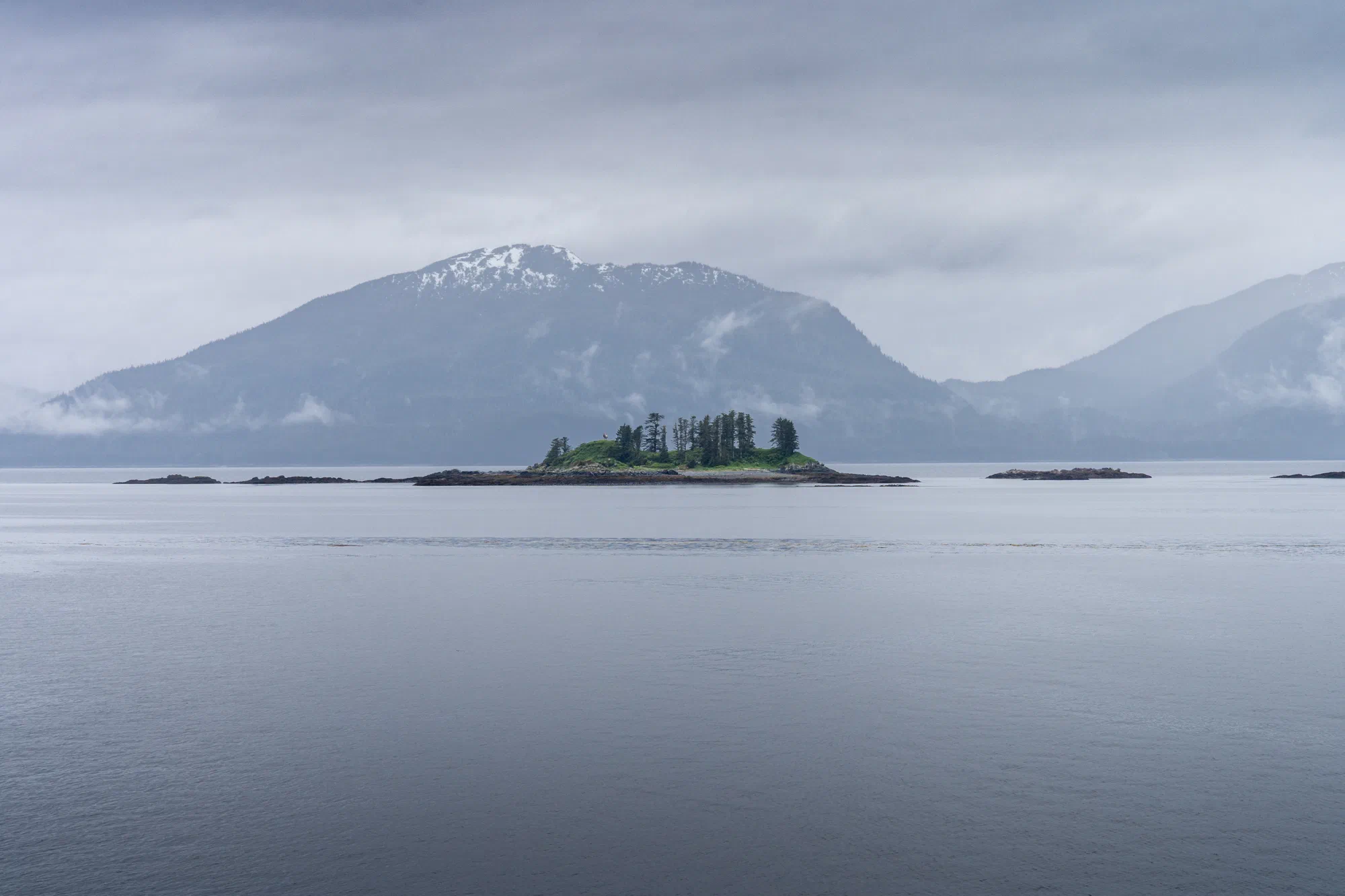 No, that's not a moose on an island