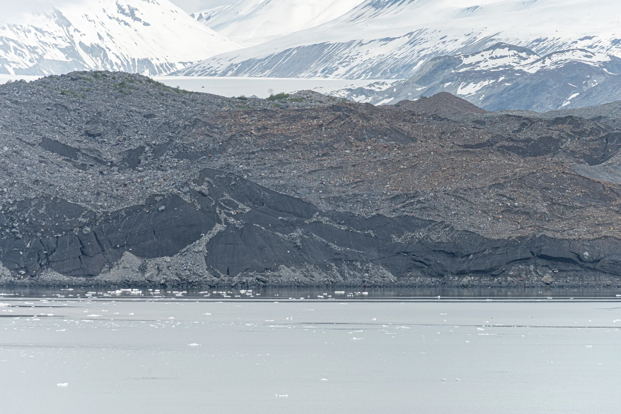 Grand Pacific Glacier closeup