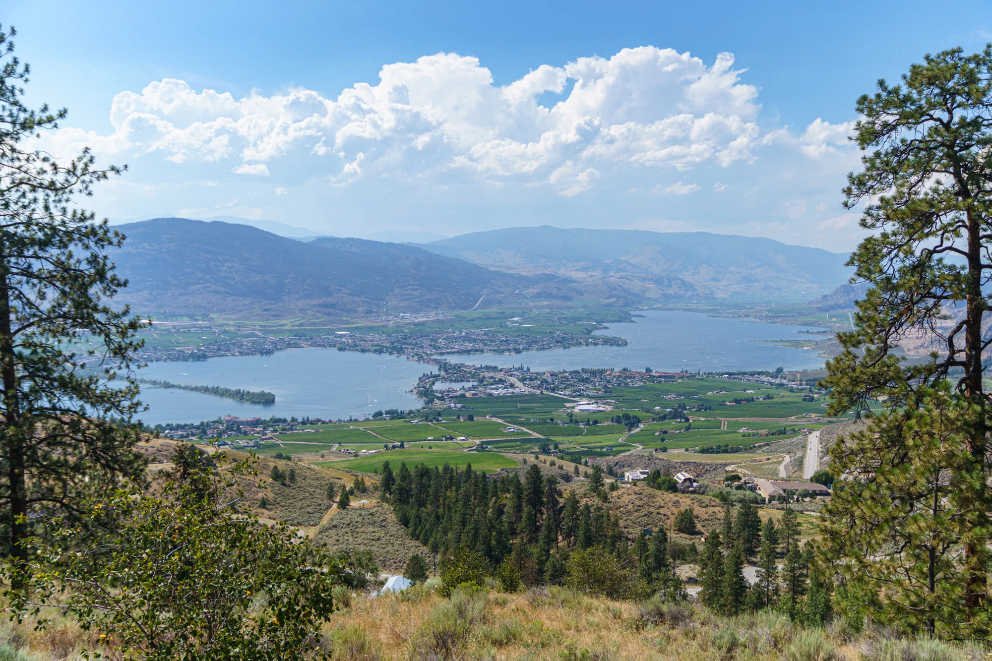 Osoyoos Overlook