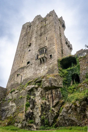 Cork
