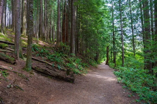 Rolley Lake Trail Rolley Lake Trail