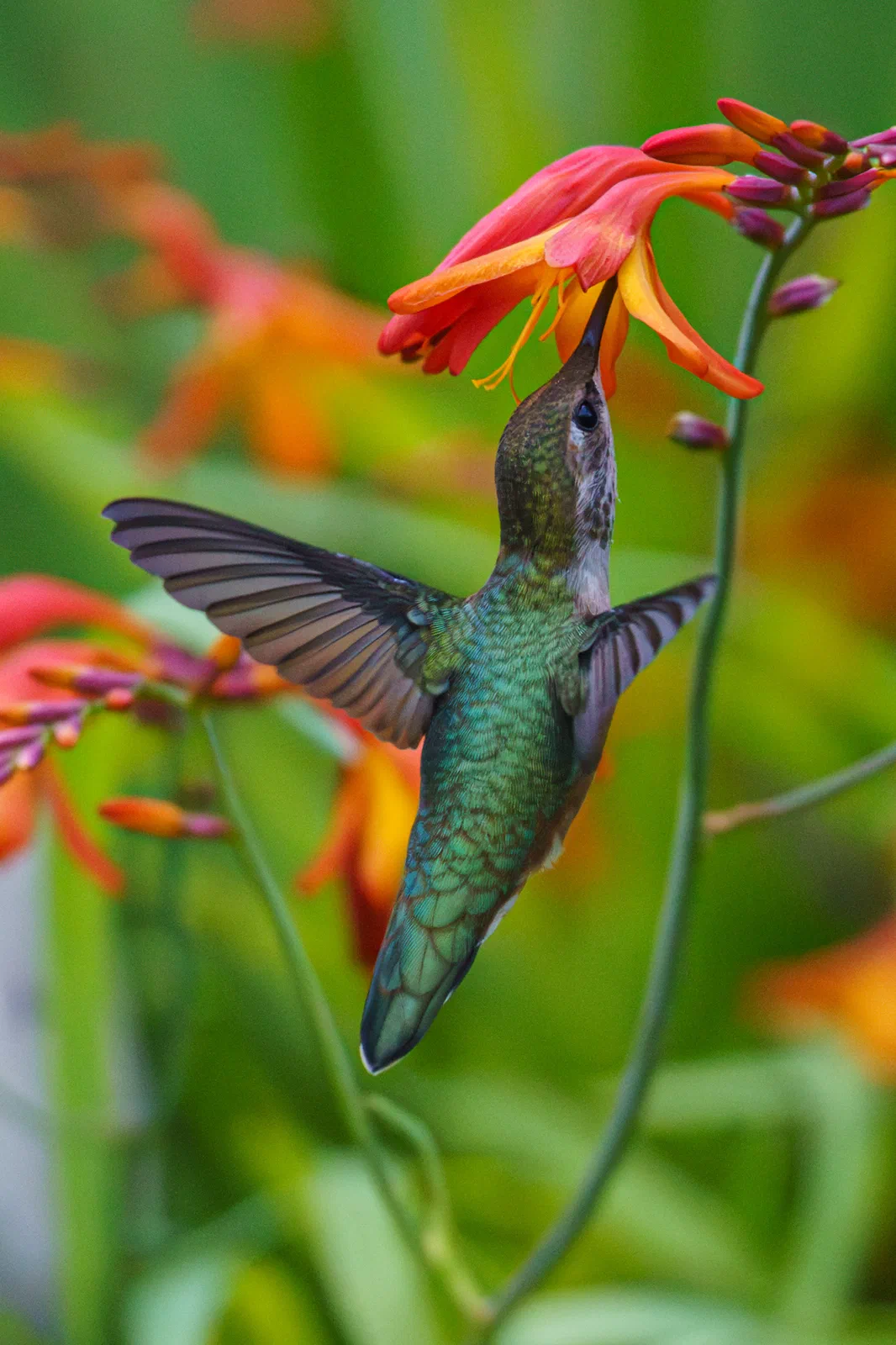 Going up for a drink