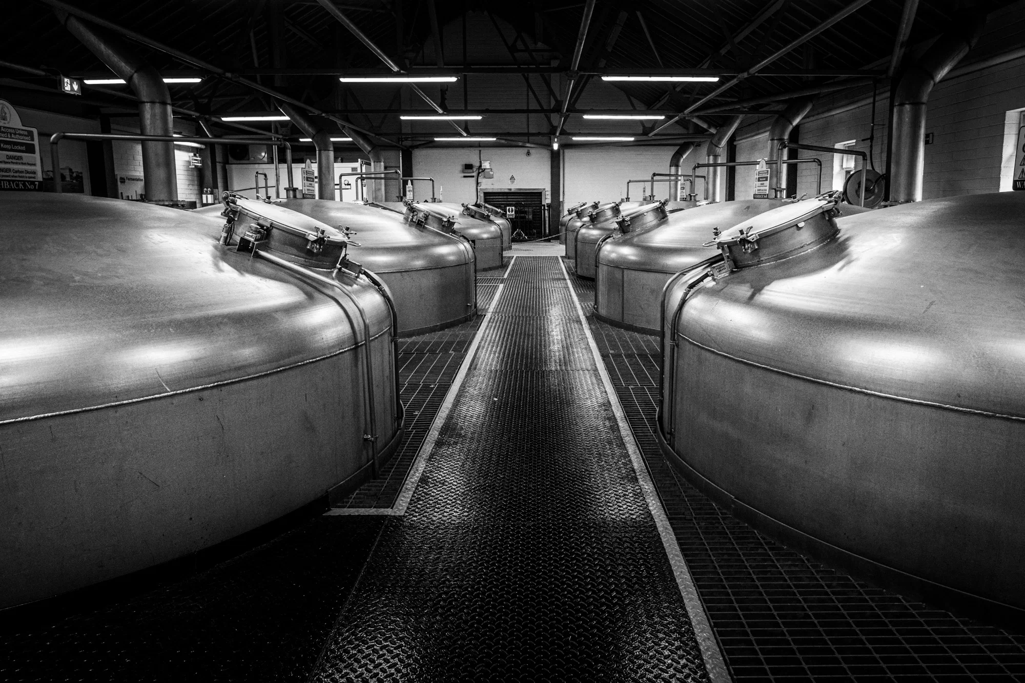 Fermentation