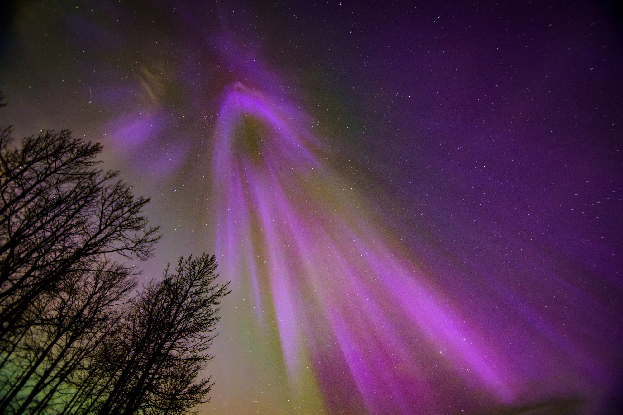 Purple explosion from the sky