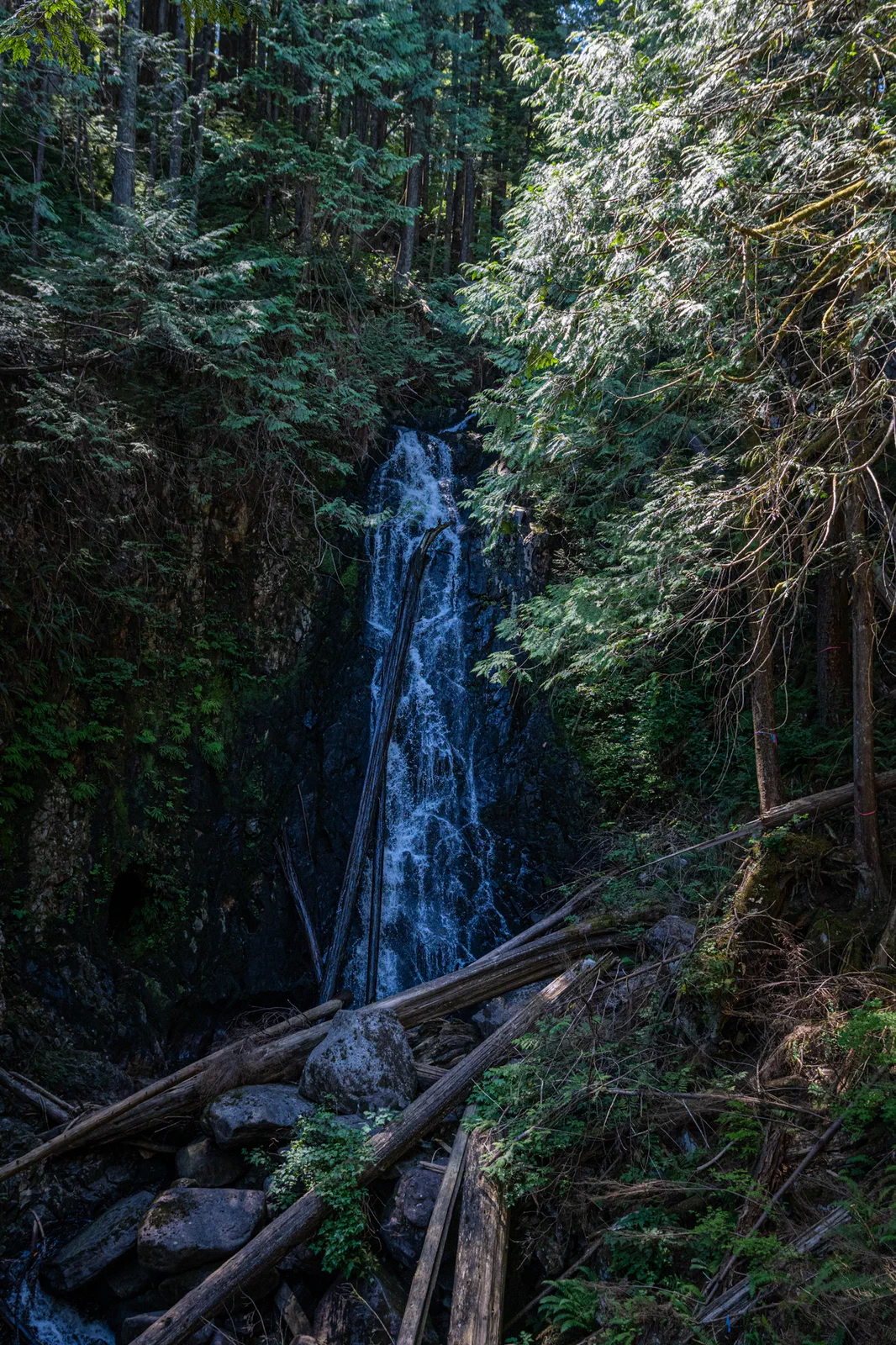 If a tree falls in a waterfall...