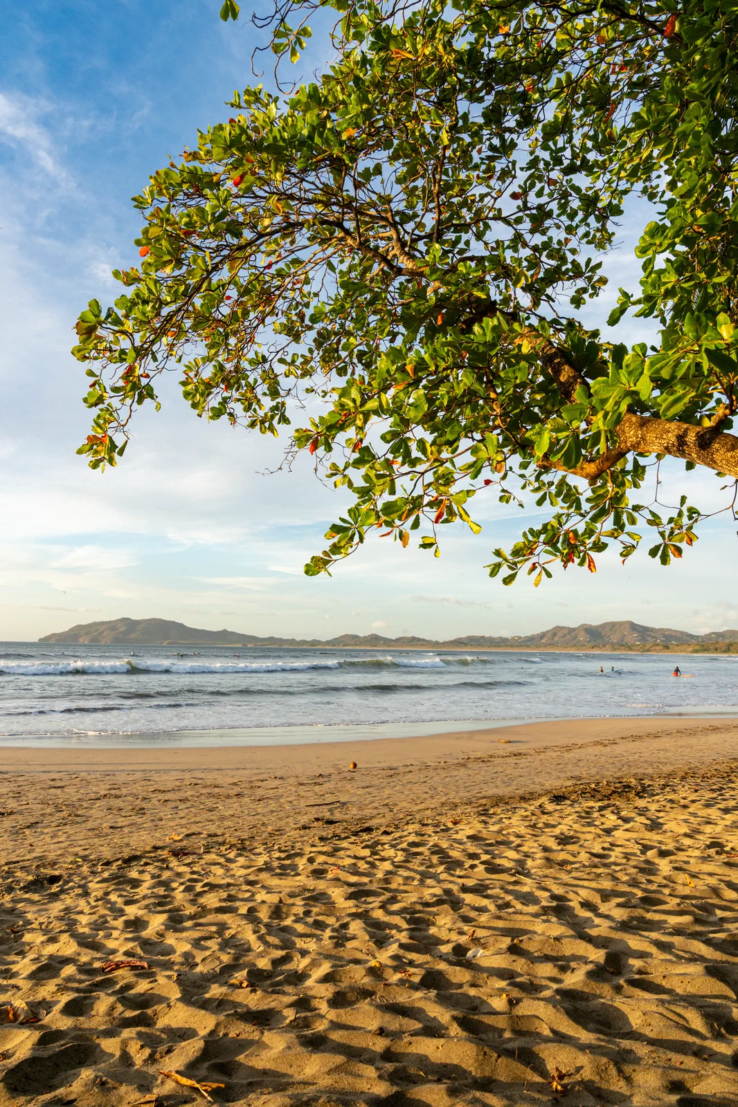 Late afternoon on a Tamarindo Beach