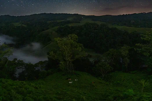 Goodnight Cows, Goodnight Fireflies Goodnight Cows, Goodnight Fireflies