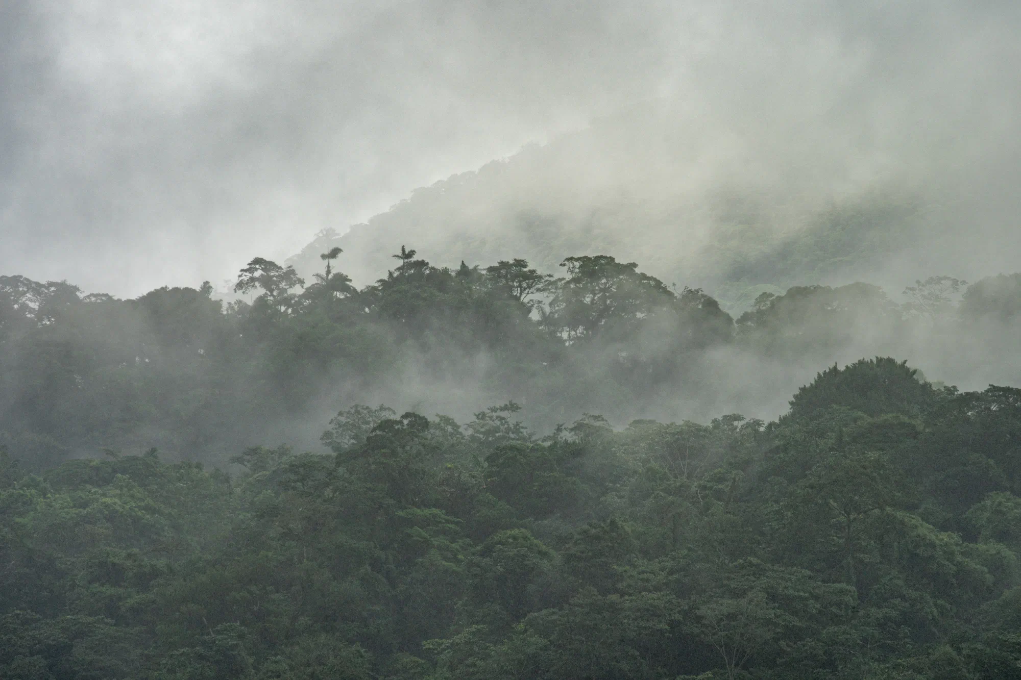 Mists on Arenal