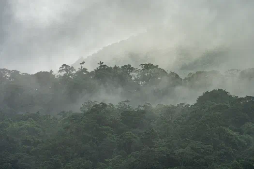 Mists on Arenal Mists on Arenal